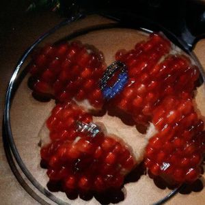 韩国一级毛片视频
