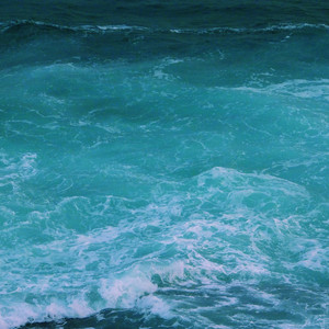 韩国一级毛片视频
