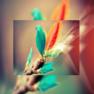 韩国一级毛片视频
